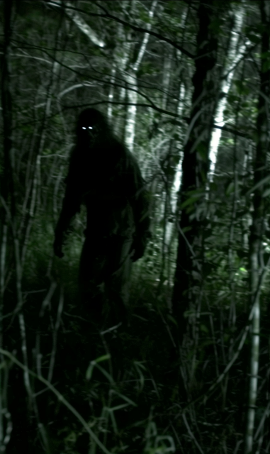 A mysterious figure in a dense forest setting, creating a suspenseful "found footage" style scene. The figure is shrouded in darkness with glowing eyes, adding an eerie and possibly supernatural element to the photo. The surrounding environment is thick with trees and underbrush, making the figure partially obscured and adding to the mysterious atmosphere. This type of image is often associated with folklore or urban legends, such as sightings of mythical creatures like Bigfoot. The low light and grainy quality of the image enhance the mysterious and unsettling vibe, typical of images purporting to show elusive creatures in natural settings.
