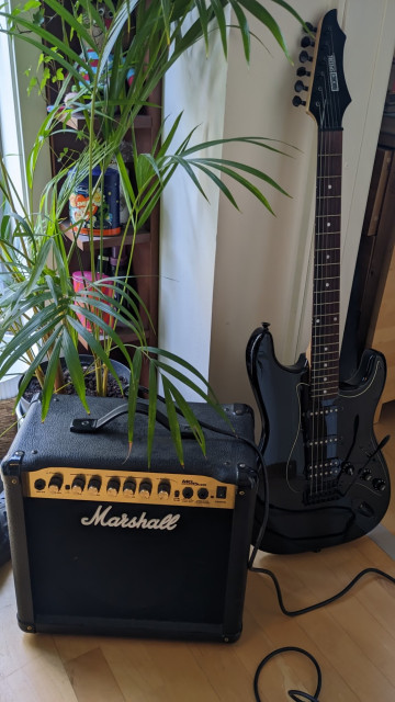 En elgitar og forsterker fra Marshall. Begge er svarte og ser helt nye ut. Er også en plante i bakgrunnen.