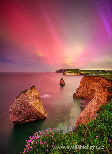 A coastal scene with small pink cliff top flowers, envelopes in the vibrant pinks, purples and greens of the aurora borealis. The sea calm, a distant village lit by street lights.