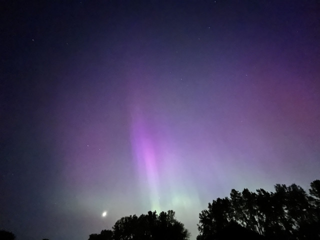Vertical lines of purple, pink, and green in the night sky
