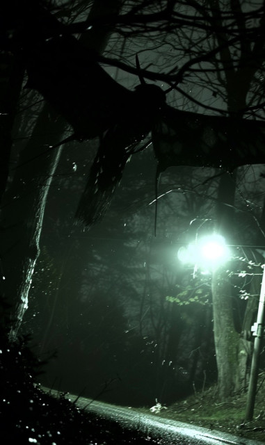 This haunting image appears to capture the elusive Mothman, a figure of urban legend, seen lurking in a misty, wooded area at night. The silhouette of the creature is visible against the sparse light filtering through the trees. Its wings are spread wide, adding to its mysterious and intimidating presence. The setting is eerie, with only the glow of a single streetlight illuminating the scene, which casts dramatic shadows and highlights the ethereal, ghost-like appearance of Mothman. The damp environment and scattered raindrops captured in the light's beam enhance the surreal and foreboding atmosphere of this chilling sighting.