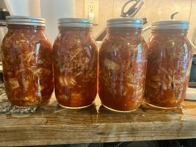 Four large Ball jars filled with kimchi.
