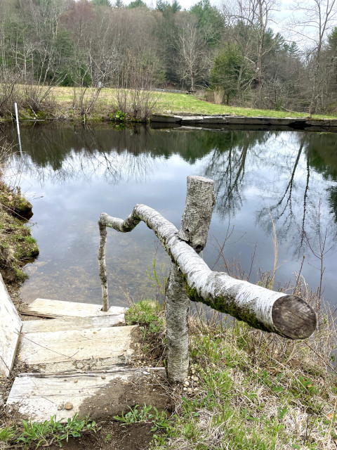 A handrail made of cut white birch twists alongside a few stairs going down to a small beaver pond. The rail consists of 2 pieces - a crooked 8 foot piece interlocked with a standing 3 foot post. Reflections from conifers and budding deciduous trees are seen atop the water.