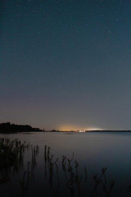 A starry night sky over a calm lake, with vegetation in the foreground and distant lights on the horizon. Fern Ridge reservoir, near Eugene, OR.