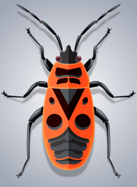 Illustration of a bright red bug with black markings. 