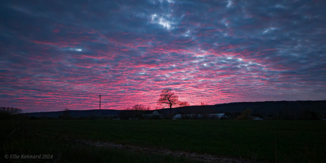A sunset scene with the countryside and a single big tree in the distance.  Behind it all is a sunset of pink tinged clouds in layers across the sky. The foreground is dark, and the clouds have patches of lighter sky showing through.