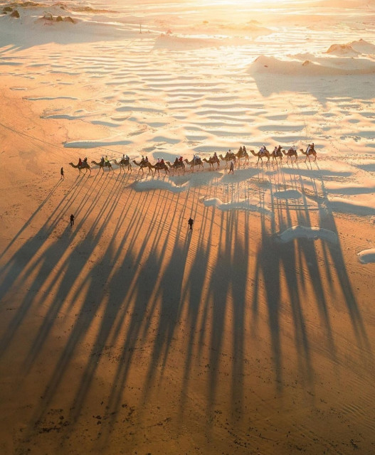 Photography. A color photo of a sandy beach with a line of camel riders in the sunlight. The photograph shows an almost straight line of camels with riders riding on the sandy beach towards the first ocean waves. They are in the center of the picture and the warm sunlight casts very long shadows on the beach. The sea, the waves and the coast can be seen in the background. The whole photo is bathed in pale orange, beige and white and conveys warmth and a vacation feeling.
Info: Birubi Beach is located at the northern end of the Stockton Sand Dunes, the huge shifting sand dunes of the southern hemisphere. The camel tour can be hired on site. A somewhat too short, but interesting 20-minute day ride costs around €25.