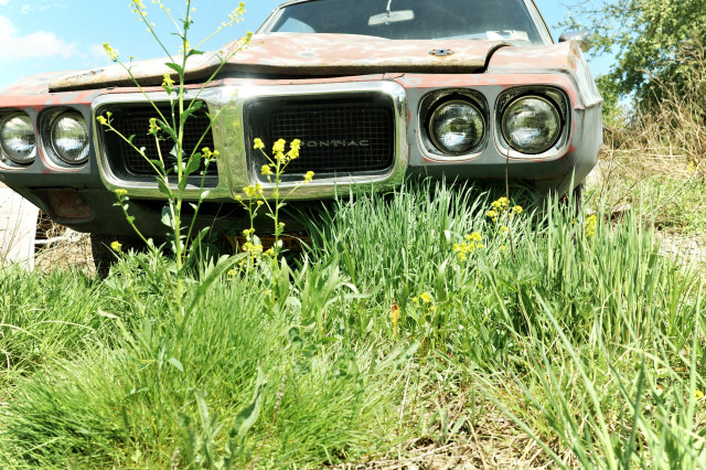 The front chrome of an old Pontiac shines in the sun – yellow flowers sprout before it – the chrome reflects the flowers in intricate detail – blue sky – spiky grass