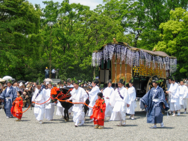 One of the most spectacular parts of the Aoi Matsuri procession are the ox-drawn carriages, decorated with wisteria flowers.