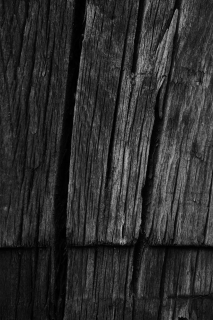A monochrome close-up photo of a weathered, textured surface with deep cracks and grooves. The dark, uneven surface shows signs of aging and wear, with varying shades, highlighting the rough and rugged texture. (CC BY 4.0)