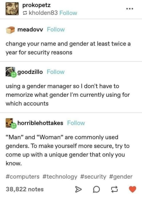 Threads screenshot.

meadovv: change your name and gender at least twice a year for security reasons

goodzillo: using a gender manager so I don't have to memorize what gender I'm currently using for which accounts

horriblehottakes: "Man" and "Woman" are commonly used genders. To make yourself more secure, try to come up with a unique gender that only you know.