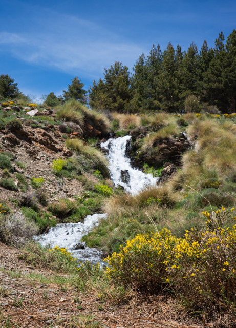 Mountain stream near Capileira