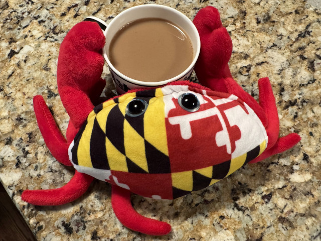 A brightly colored stuffed crab's "shell" is covered with the red, white and yellow pattern of the Maryland state flag.  His 8 legs and 2 claws are a slightly fuzzy red material.

He is gripping my coffee mug as if he will never let it go.  It's best to let him have what he wants first, one gets pinched less that way.