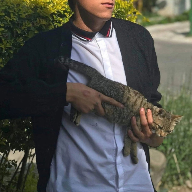Holding your cat in the Armed/Ready position when outdoors.