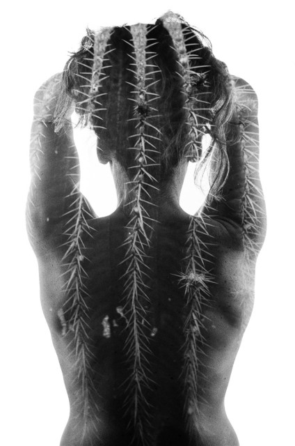 A woman's naked back. Her hand are in her hair. From the center of her hair, rows of cacti spikes run down all the way to her lower back. Black and white. 