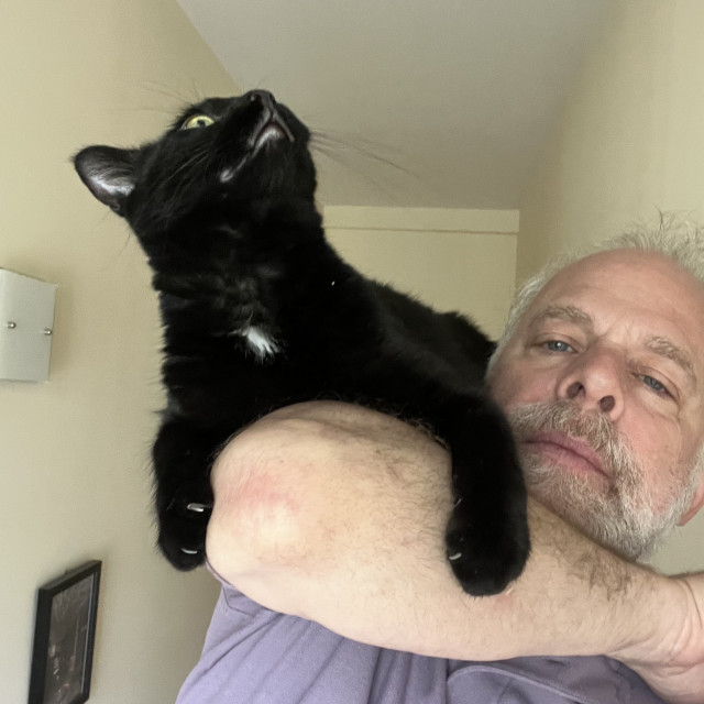 a black cat with big yellow eyes goes for a ride on my arm, looking up at the ceiling and clinging on with his powerful claws