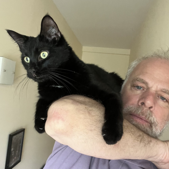 a big, beautiful black cat  goes for a ride on me arm, clinging on my arm, and looks intently forward and to the corner of the room (behind the camera)