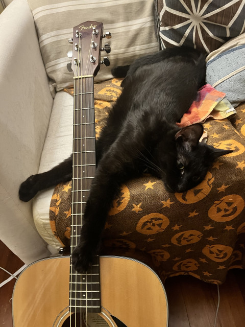 a black cat resting on a couch reaches along the strings of a guitar, appearing to be playing it