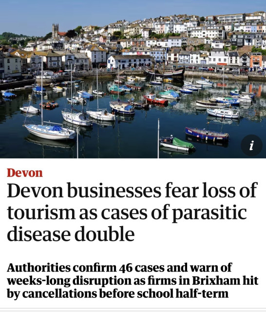 Screenshot of top of this article
вм9
Bwa
Devon
Devon businesses fear loss of
tourism as cases of parasitic
disease double
Authorities confirm 46 cases and warn of
weeks-long disruption as firms in Brixham hit
by cancellations before school half-term
