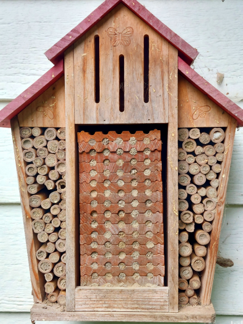 A wooden bee house with a red roof   has bamboo tubes and wood blocks with holes that have been filled in with plugs of dried mud that covers multiple chambers with bee eggs and pollen lumps.