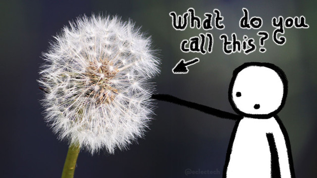 A photo of a round fluffy dandelion seed head against a blurred dark background. An arrow points to it with "What do you call this?" scribbled by it. A simple drawn figures stands on the right, also pointing at it.