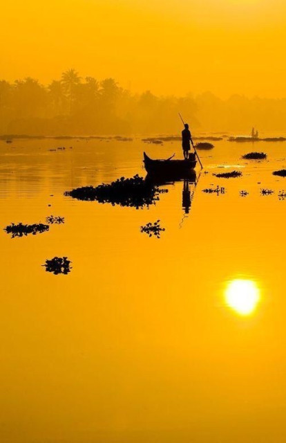 A man standing on a boat is sillouted against a golden sunrise. In the distance there are faint silloutes of trees. The river also has some floating plants.