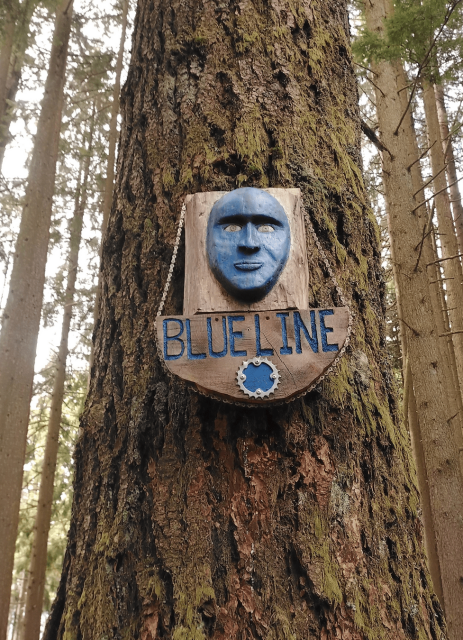 The trail markers of MTB trails showcase the poetry of creation. Made by volunteers, when you ride these at the end your legs, lungs, and soul agree: 'apt'. Let's do that one more time...  #biking #mtb #pnw #westwoodplateau #nature #hiking