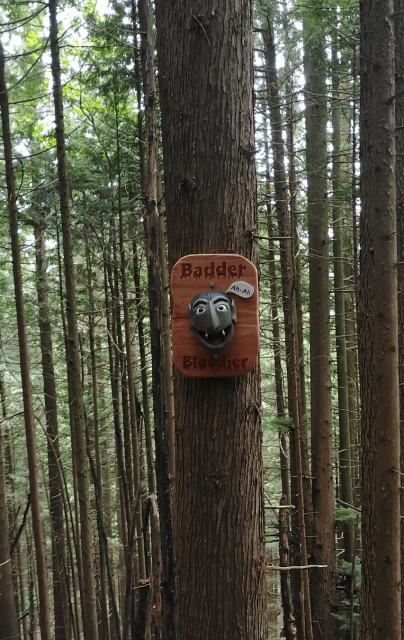 The trail markers of MTB trails showcase the poetry of creation. Made by volunteers, when you ride these at the end your legs, lungs, and soul agree: 'apt'. Let's do that one more time...  #biking #mtb #pnw #westwoodplateau #nature #hiking