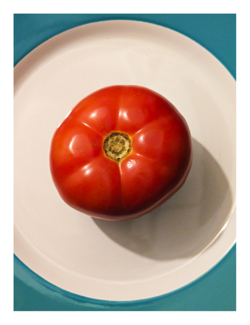 overhead view. a ripe, red tomato on a white/blue plate.