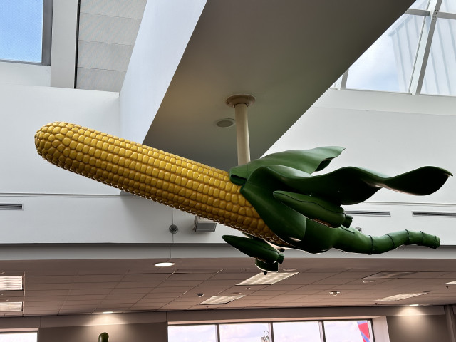 A corn cob that looks like an airplane