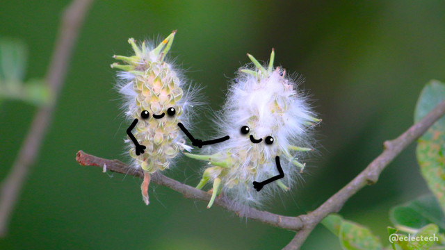 Two vertical fluffy catkins sticking up from a horizontal branch, cutting across a blurred green background. They both have arms and sweet smiling faces drawn on. They are holding hands.