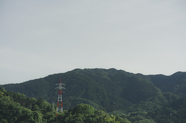A single red and white electric tower standing in a mountain of forest.