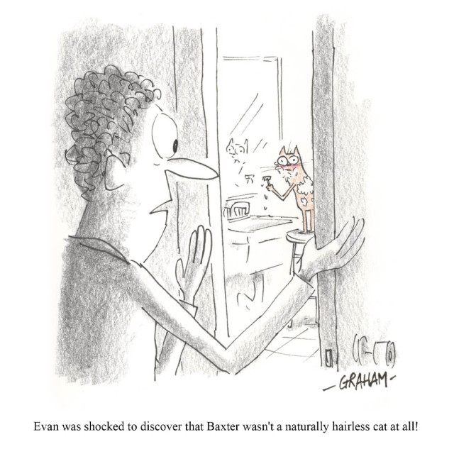 A cartoon illustration of a man opening the bathroom door revealing his cat at a sink shaving.