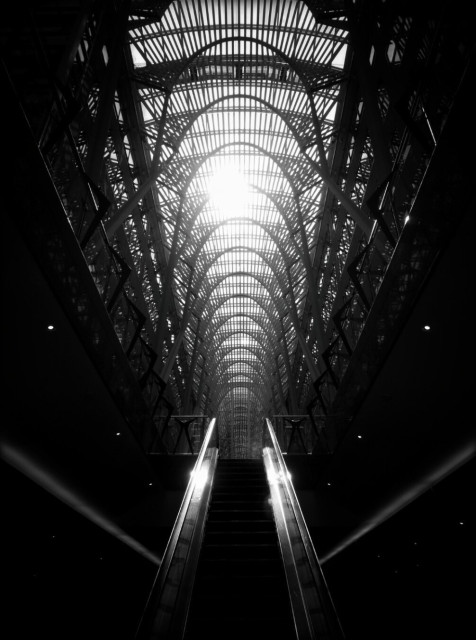 Standing at the bottom of an escalator looking towards a glass roof. In this dark and moody image the sunlight streams in through the ceiling allowing the viewer to see the steel frame.