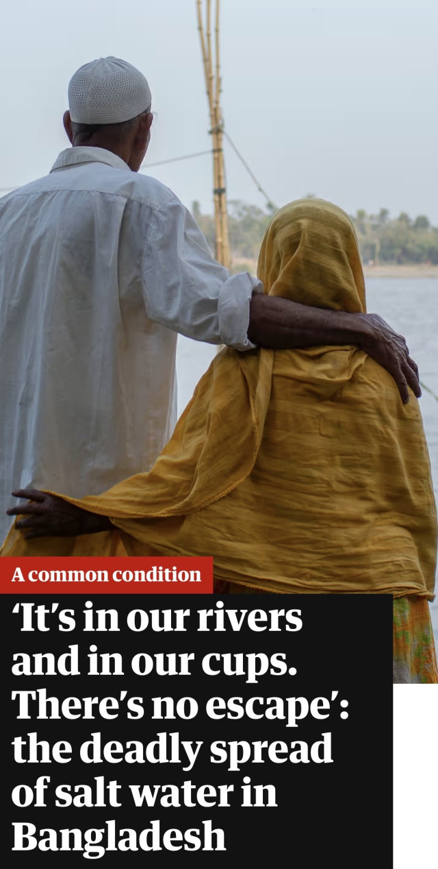 Screenshot of top of this article

A common condition
'It's in our rivers
and in our cups.
There's no escape':
the deadly spread
of salt water in
Bangladesh