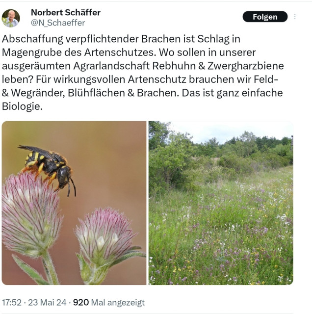 Norbert Schäfer, Abschaffung der Brachen ist Schlag in den Magengrube des Artenschutzes