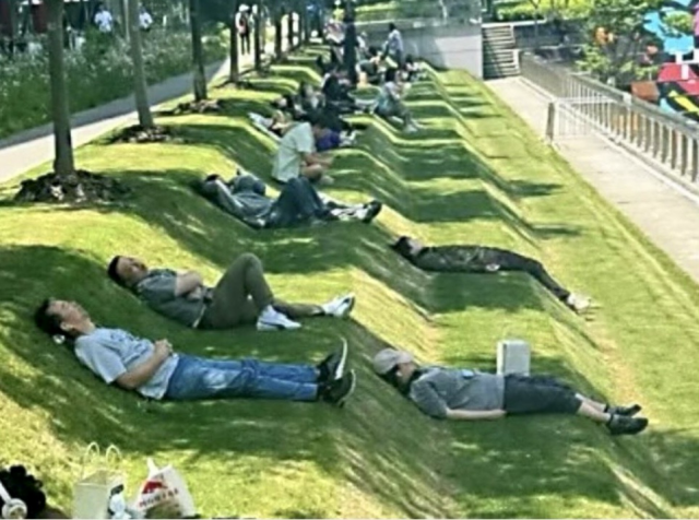 A designed rolling lawn, with shady trees above, a favorite for those who work nearby, perfect for lunch breaks & for others who just want to relax. This in Shanghai. 