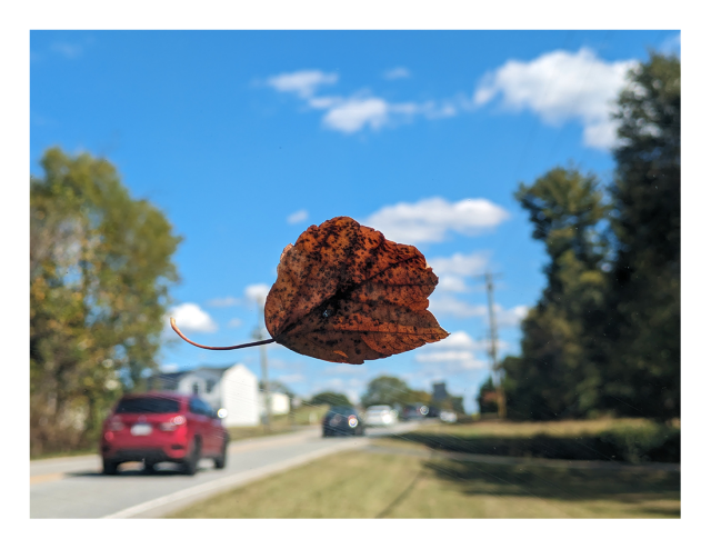 the view from inside my car at a brown leaf stuck to the windshield. the background is a two-lane rural road  with cars, under a partly-cloudy sky.