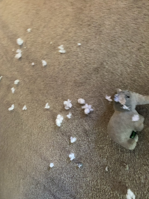 A torn stuffed elephant toy with white stuffing scattered across a carpeted floor.
