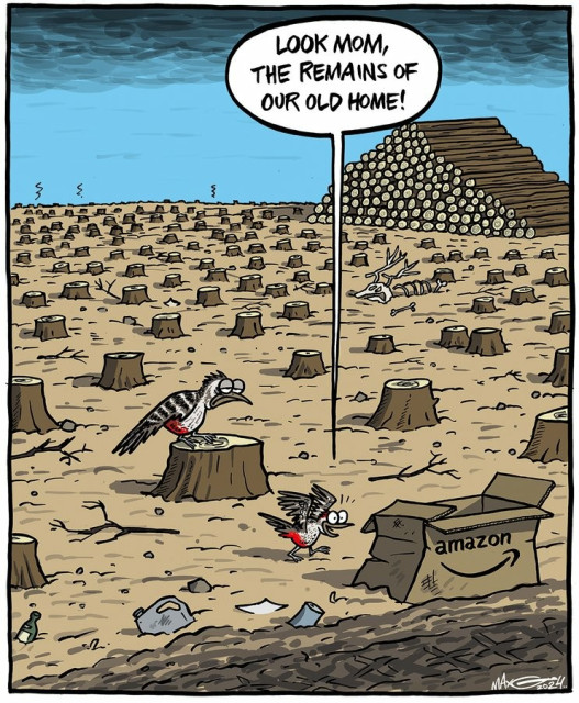 Cartoon:
BIRD: look mom, the remains of out old home!