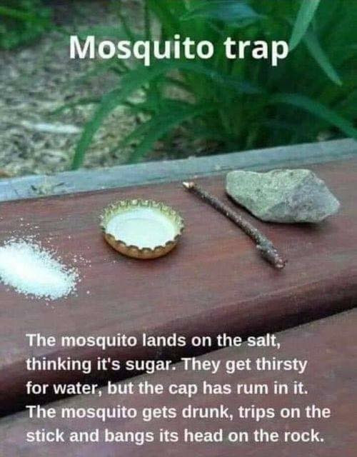 A meme for how to get rid of mosquitos. It shows a pile of salt, a bottle cap, a stick, and a rock.

The caption says: The mosquito lands on the salt, thinking it's sugar. They get thirsty for water, but the cap has rum in it. The mosquito gets drunk, trips on the stick, and bangs its head on the rock.