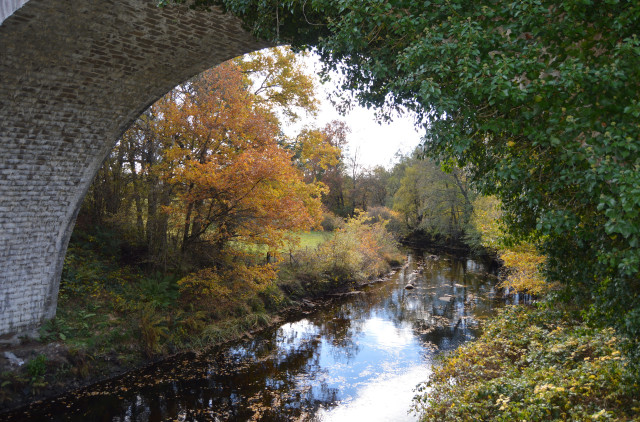 Photo taken under the brick arch of a railway bridge, a river flowing underneath. Ivy grows up the whole of the right side of the bridge. A grassy bank, and golden Autumn trees can be seen through the arch on the left. Fallen leaves float on the surface of the water.
