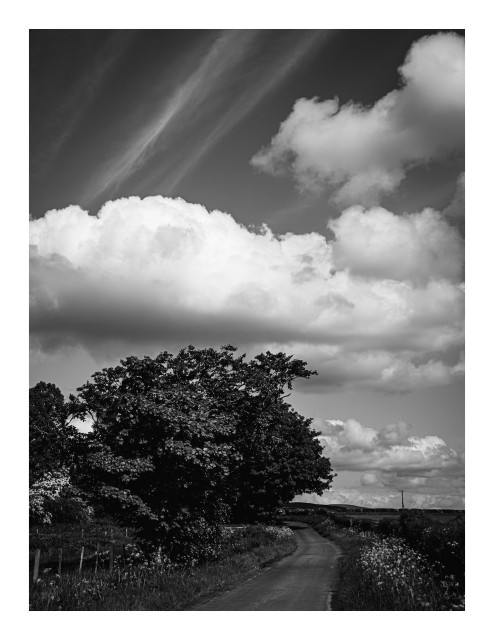 Black and white photograph of a rural road winding through the countryside, with large trees on one side and a dramatic sky filled with clouds above.
