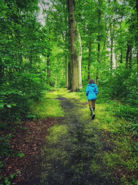 My mom, seen from the back, walking seeing a muddy path in the woods. Very bright light green grass grows along the path. Tall trees grow on either side. White sky is showing through the trees. My mom is wearing a bright blue raincoat, muted gold-ish green cords and dark green rubber boots.