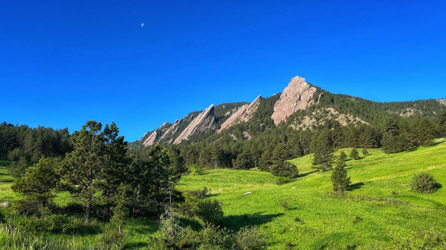The tilted Flatirons rocks in the morning sun, sitting behind rolling, grassy meadows and tall, green pine trees and under crystal clear, blue skies. A small, faint, waning gibbous moon is hanging high in the sky above the rocks.
