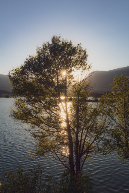 Se puede ver un atardecer en el pantano de Arguis (Huesca) y en el cual se filtran los rayos de sol por un árbol que ocupa la parte central de la composición.