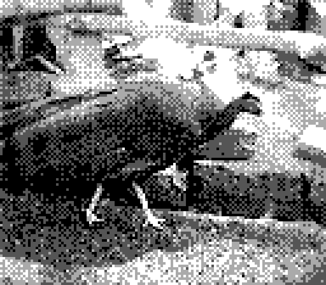 a 2-bit, black and white photo of a large bird (looks like a peahen) at the Oregon zoo. the bird is fairly nicely outlined and shaded against the background despite the incredibly low pixel count resolution of Gameboy Camera photos. 