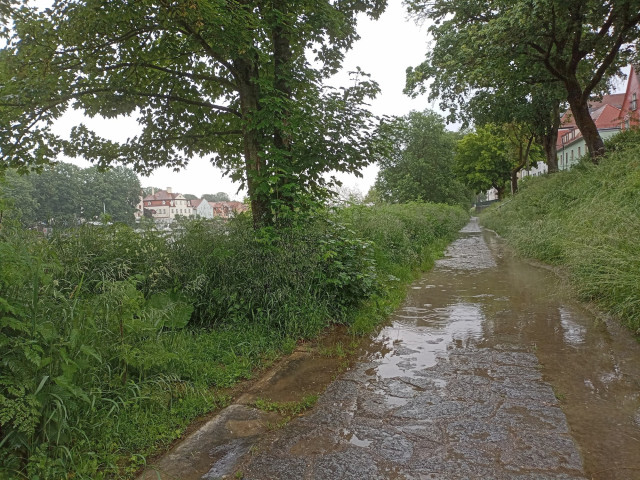 Uferweg Holzlände Regensburg. Wasser steht auf und neben dem Weg. Keine Versickerung.