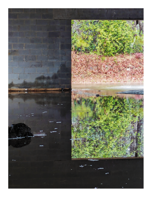 daytime. the interior of a cement block building during a gut renovation. rainwater covers the floor and reflects a square of the area behind the building, a driveway, an embankment covered in brown leaves and green weeds behind.