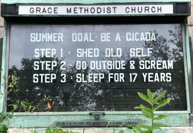 Methodist Church message board that says:

SUMMER GOAL: BE A CICADA 

STEP 1: SHED OLD SELF
STEP 2: GO OUTSIDE & SCREAM 
STEP 3: SLEEP FOR 17 YEARS 